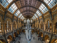 Natural History Museum