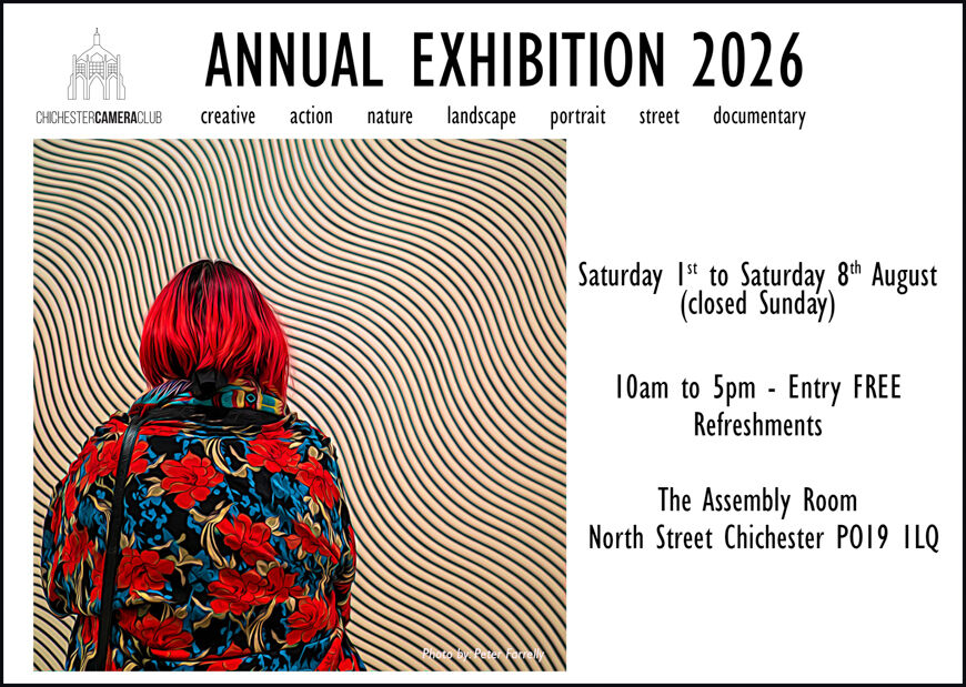 2026 Annual Exhibition Poster