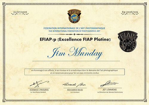 EFIAP Platinum Certificate