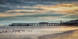 Hastings Pier