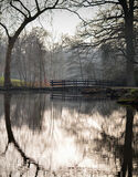 Bridge at the Savill Garden