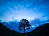 Sycamore Gap