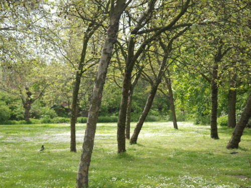 Open space, Mabley Green, Hackney