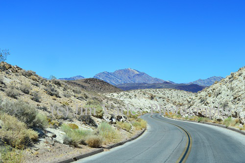 Mojave Desert Road