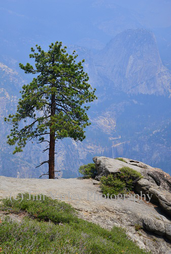 Yosemite National Park, California