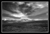 DSC 0555 R