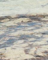 Beach abstract