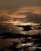 Setting sun abstract