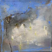 Bircg Devas 20m by 20 cms