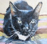 Brutus, Jack's house-mate; gift