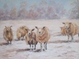 Inquisitive sheep in the wintry snow; commission