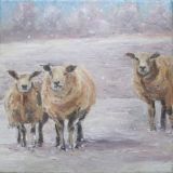 Sheep in the snow; sold