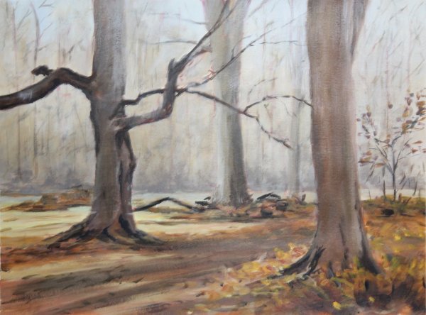 Into the misty forest