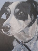 Pip;gifted