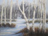 Beech trees in winter