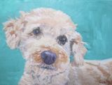 Donna's dog;sold