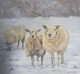 Who are ewe?