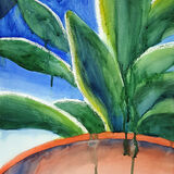 Kalanchoe portrait format; a zoomed in view of a succulent plant from a low angle, with vibrant green leaves; drips of paint leak down over the teracotta pot, which complements the vibrant blue background