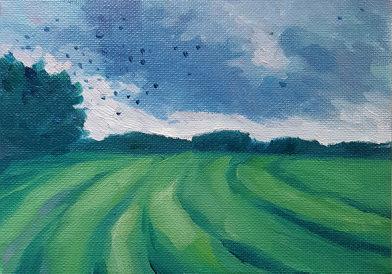 Flocking Birds at Sundown