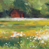 little red shed 3