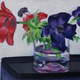 Red and Purple Anemones