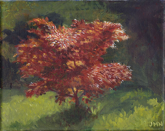 Benemaiko, Evening Light