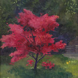 benemaiko, april