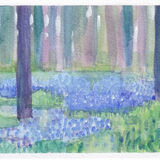 Little Bluebell Wood