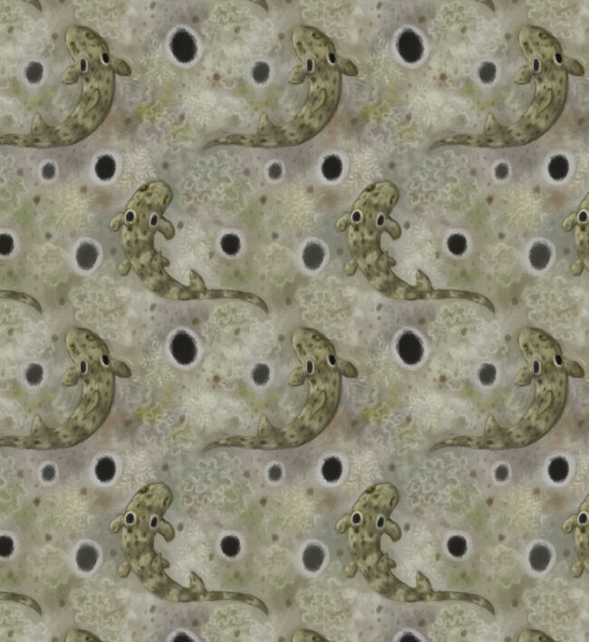 Epaulette Sharks