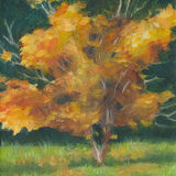 Benemaiko, November Orange