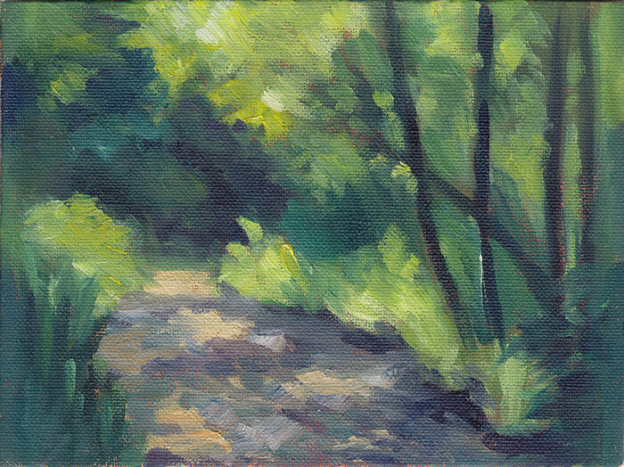 Dappled Light, Forest Path