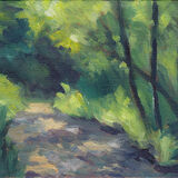 Dappled Light, Forest Path