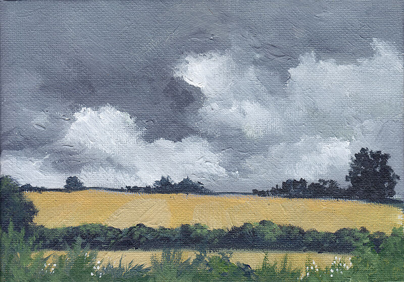 Grey Sky Over Hedgerows