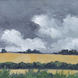 Grey Sky Over Hedgerows