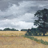 Tree Overlooking Yellow Fields an old tree stands in the middle of a patchwork of yellowing fields, silhouetted against a grey sky. birds are flying overhead, and farm buildings and pylons are visible in the distance.