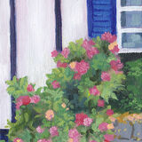 Hydrangea Outside the Kitchen Window