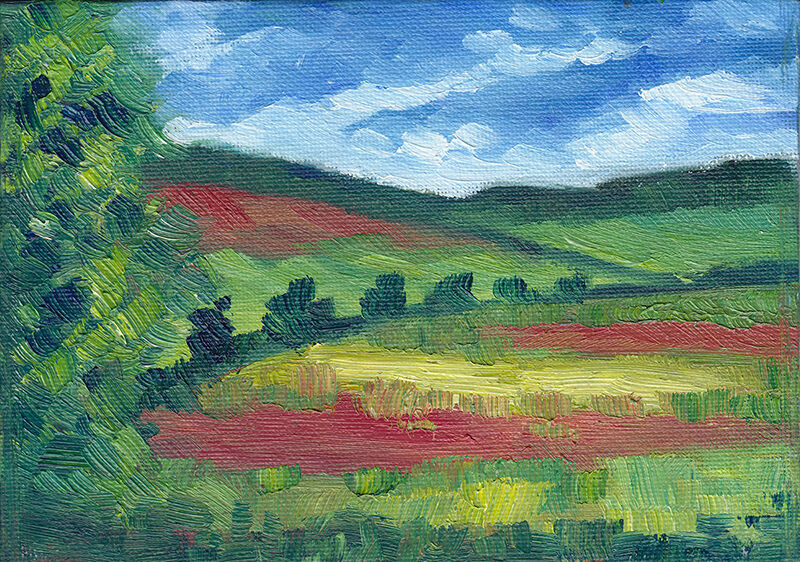 Poppy Fields From The Train