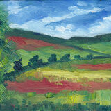 Poppy Fields From The Train