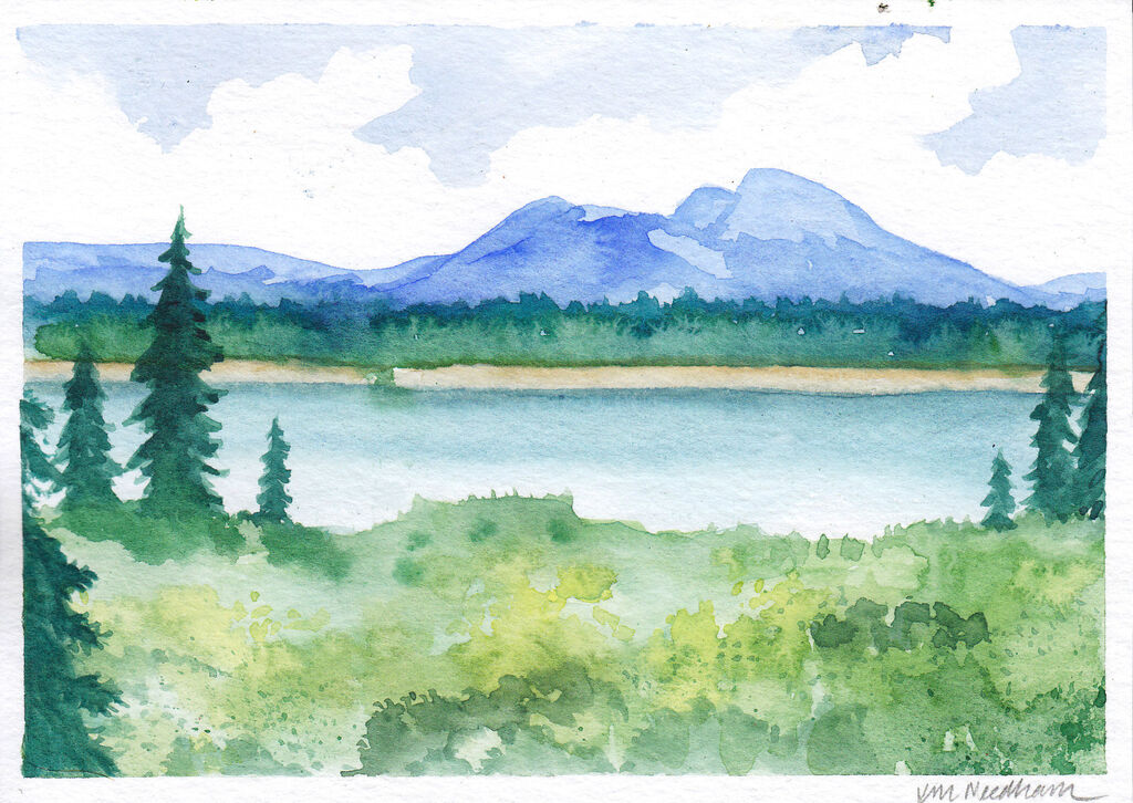 Mountain and Pine Trees