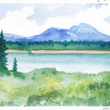 Mountain and Pine Trees