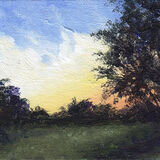 Sunrise Behind Trees