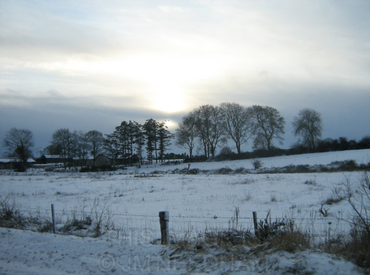 Irish Snow II