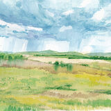 Distant Rain