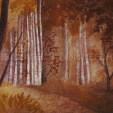 Ochre Birch Wood