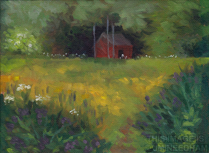 Little Red Shed 2