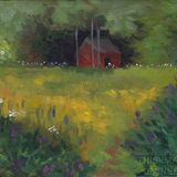 Little Red Shed 2