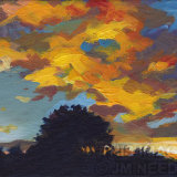 November Sunset