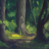 Quiet Woodland Path