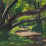 Dappled Light, The Fallen Tree
