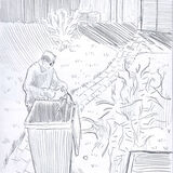 Cutting Up Branches